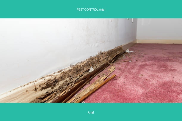 PEST CONTROL Arial